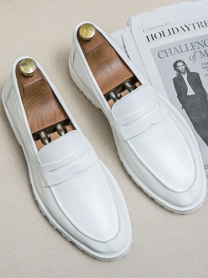 Loafer Sko For Menn Koselig Pu Skinn Monk Strap Slip-on - Hvit