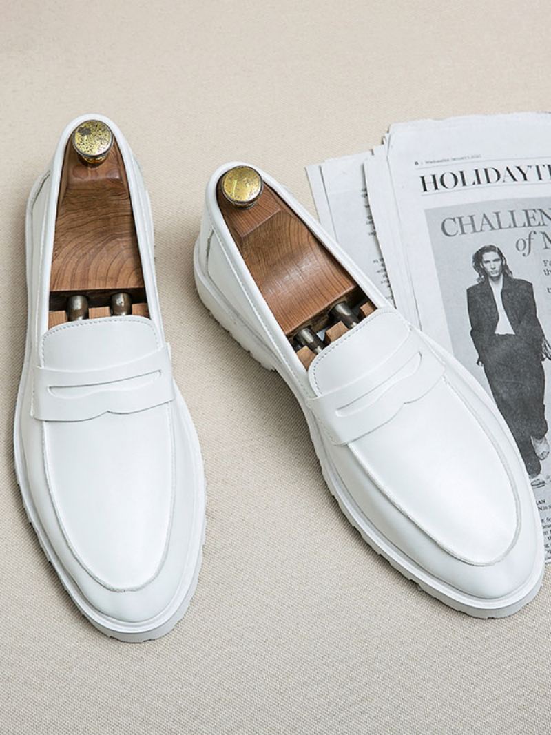 Loafer Sko For Menn Koselig Pu Skinn Monk Strap Slip-on - Hvit