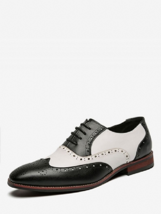 Oxfords Sko Til Menn Moderne Rund Tårem Justerbar Pu-skinn Vingespisser Brogues